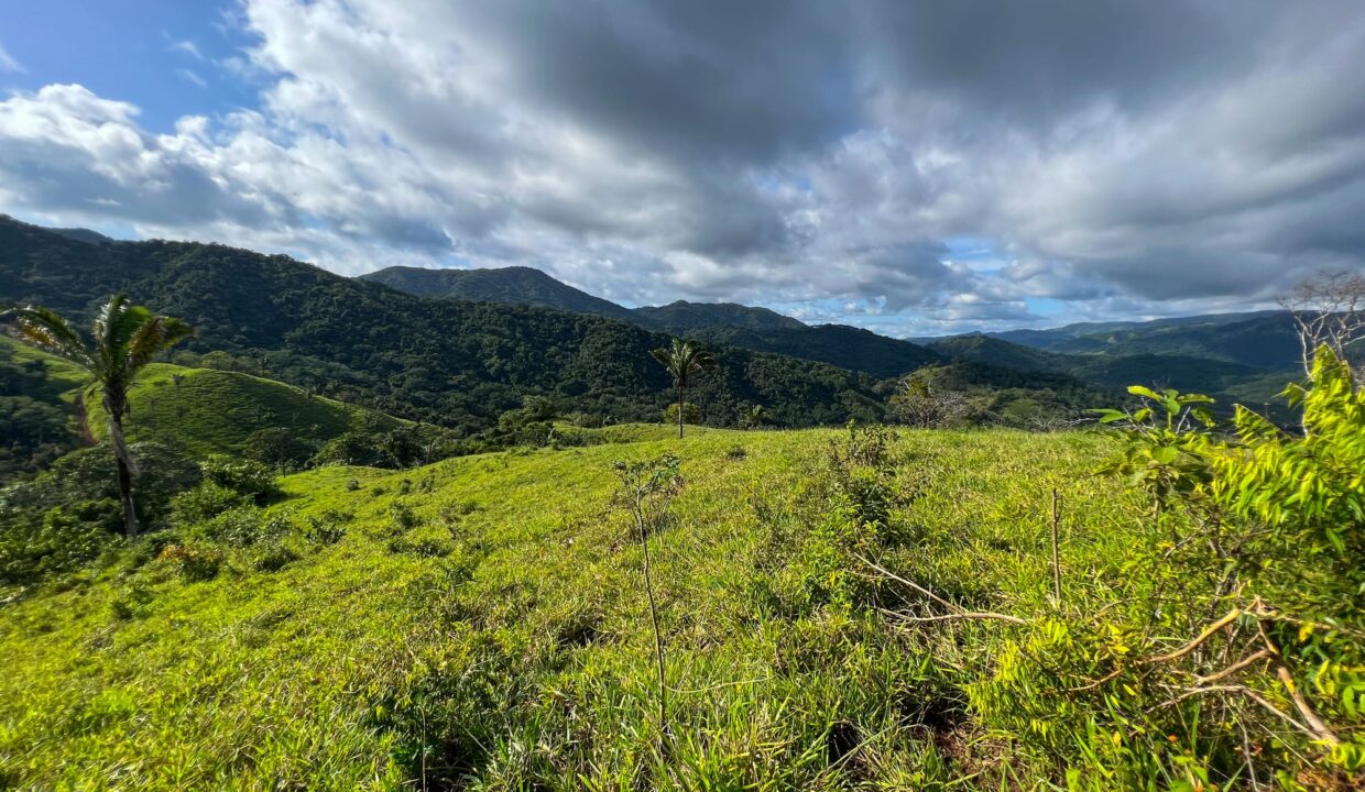 Farm near Playa Carrillo, Guanacaste — photo 1