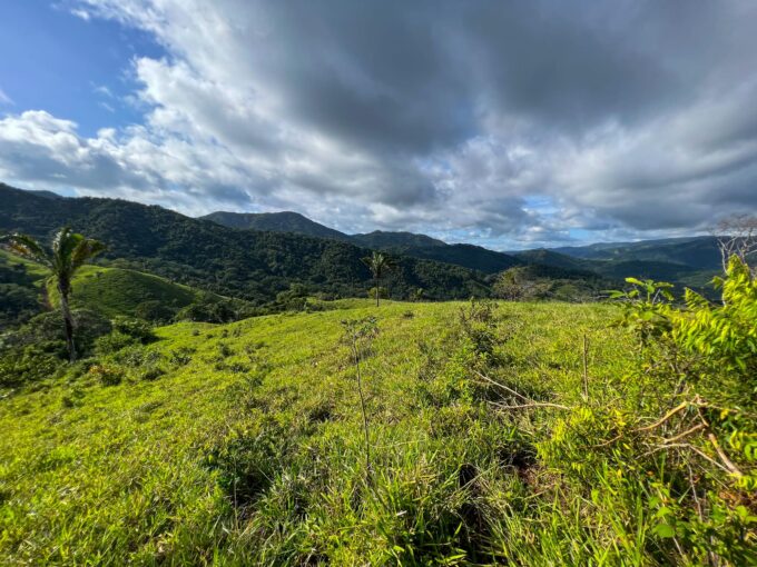 10-hectare farm for sale near Playa Carrillo, Guanacaste, Costa Rica — ocean-view land