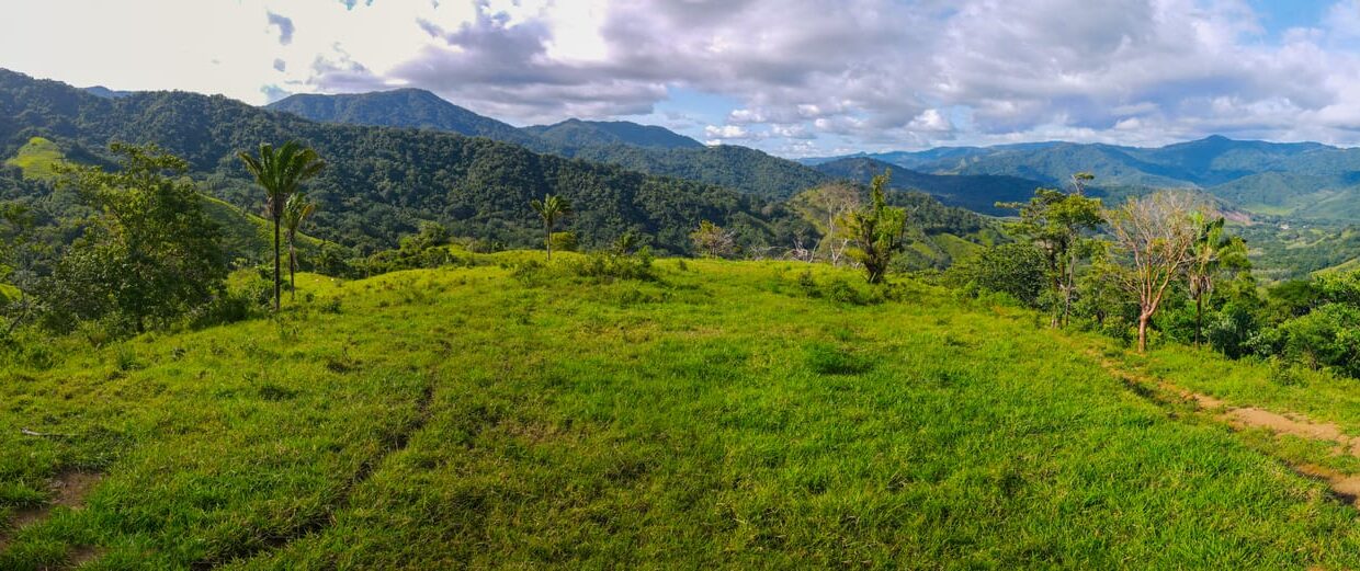 Farm near Playa Carrillo, Guanacaste — photo 3