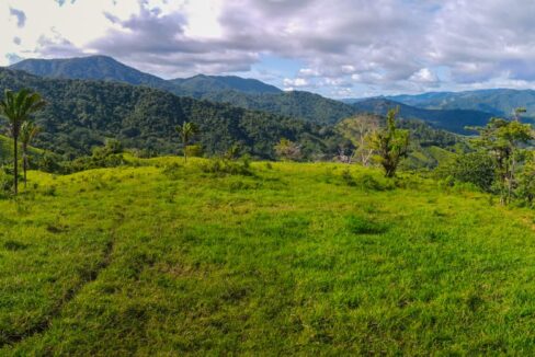 Farm near Playa Carrillo, Guanacaste — photo 3