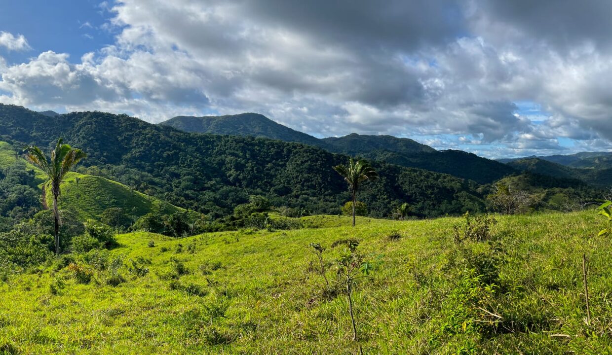 Farm near Playa Carrillo, Guanacaste — photo 4