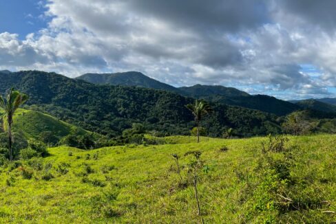 Farm near Playa Carrillo, Guanacaste — photo 4