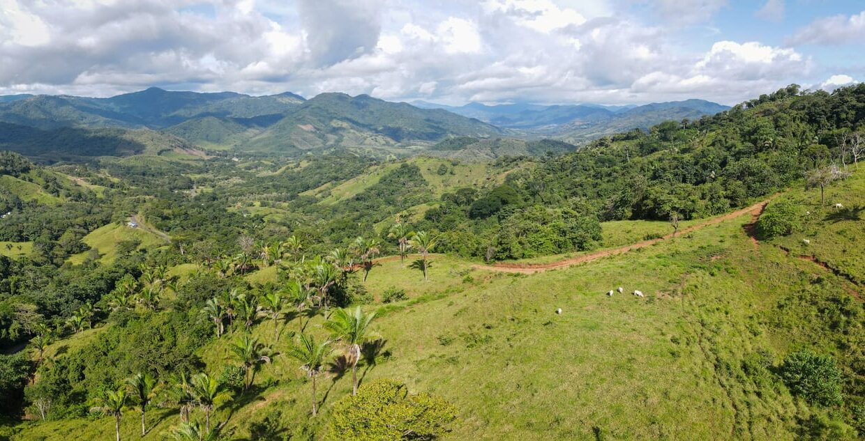 Farm near Playa Carrillo, Guanacaste — photo 5