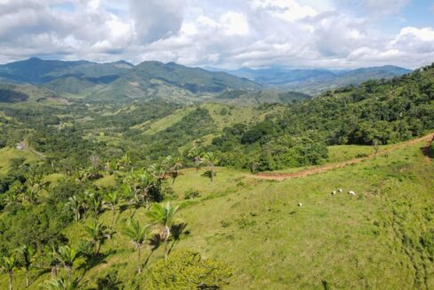 Farm near Playa Carrillo, Guanacaste — photo 5