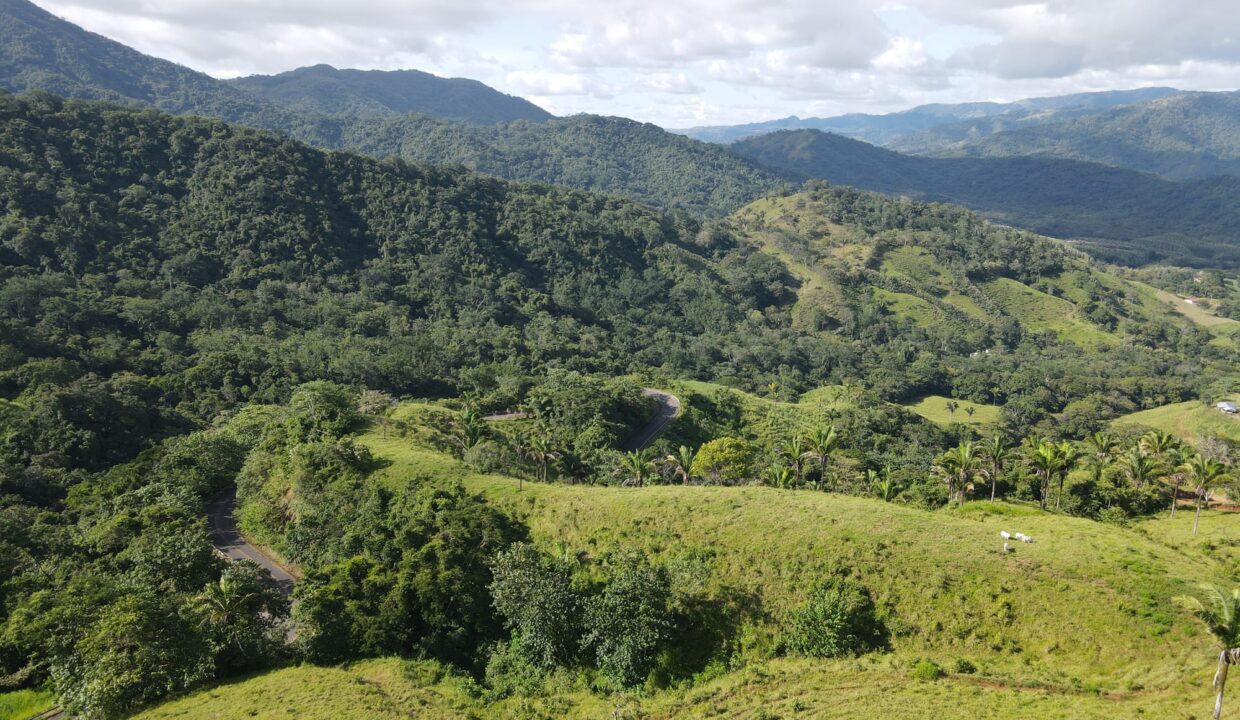 Farm near Playa Carrillo, Guanacaste — photo 6