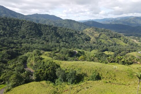 Farm near Playa Carrillo, Guanacaste — photo 6