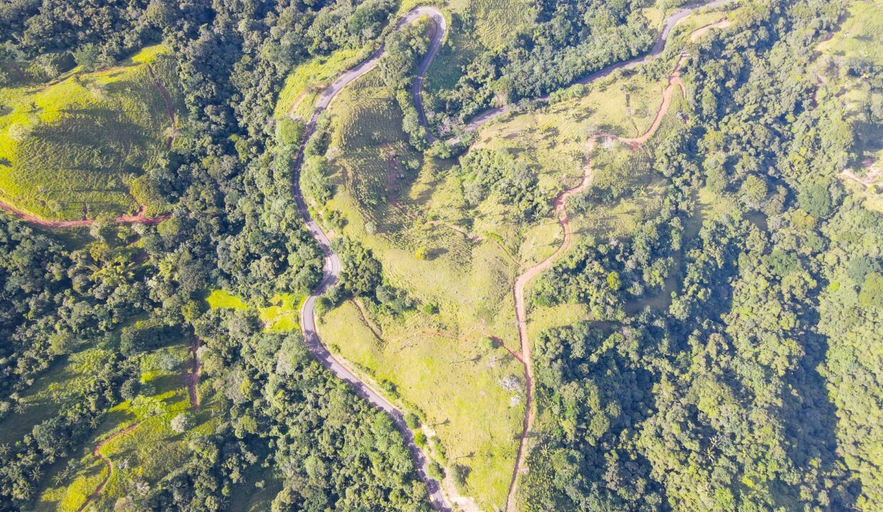 Farm near Playa Carrillo, Guanacaste — photo 9