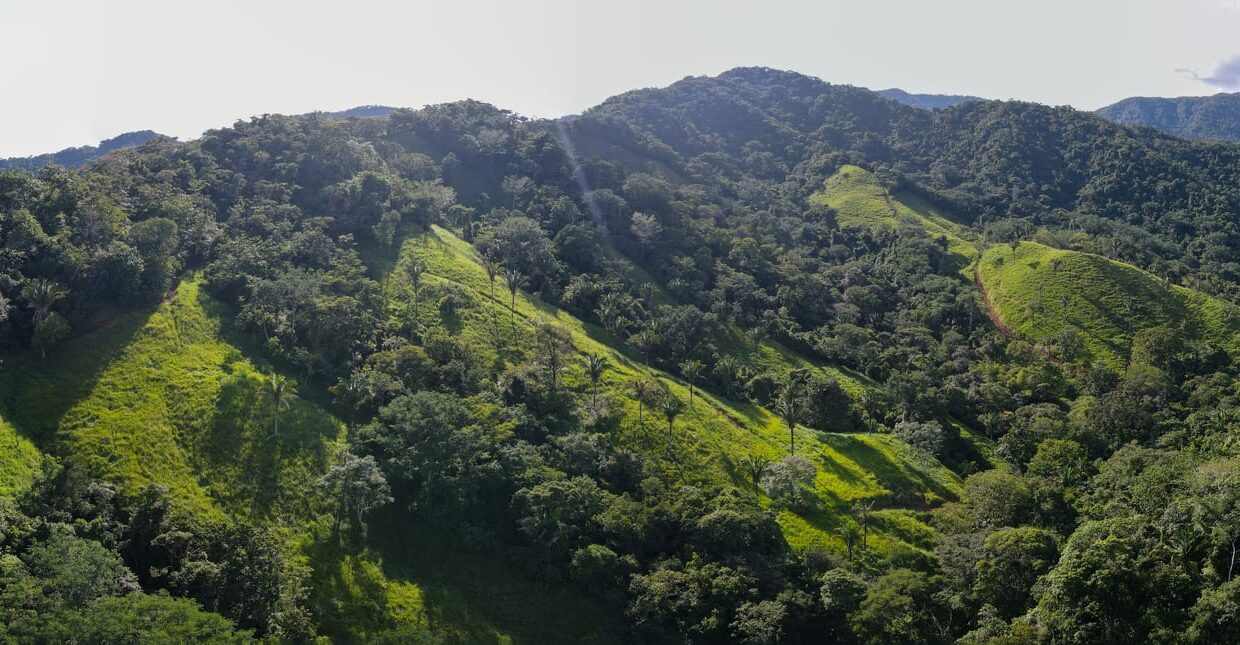 Farm near Playa Carrillo, Guanacaste — photo 10