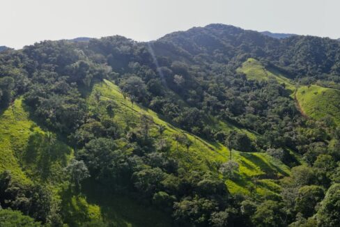 Farm near Playa Carrillo, Guanacaste — photo 10