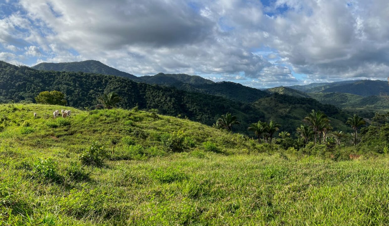 Farm near Playa Carrillo, Guanacaste — photo 11