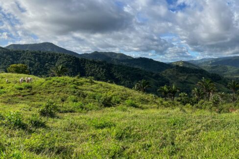 Farm near Playa Carrillo, Guanacaste — photo 11