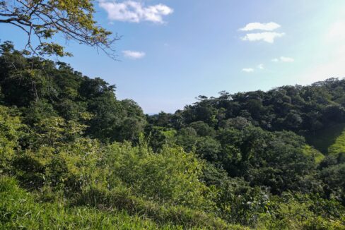 Farm near Playa Carrillo, Guanacaste — photo 12