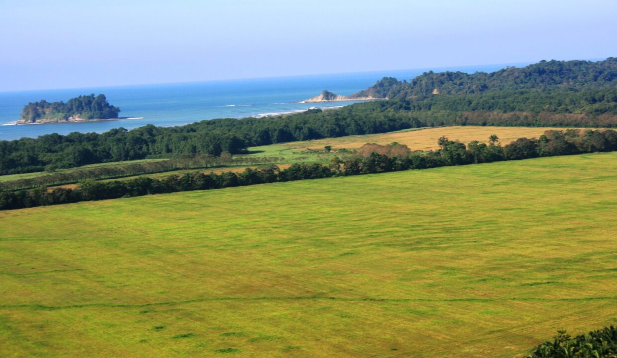 Ocean view from the Lomas del Rey hillside over palm plains to the Pacific, Quepos, Costa Rica