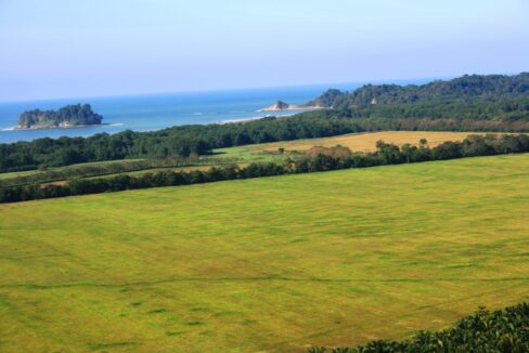 Ocean view from the Lomas del Rey hillside over palm plains to the Pacific, Quepos, Costa Rica
