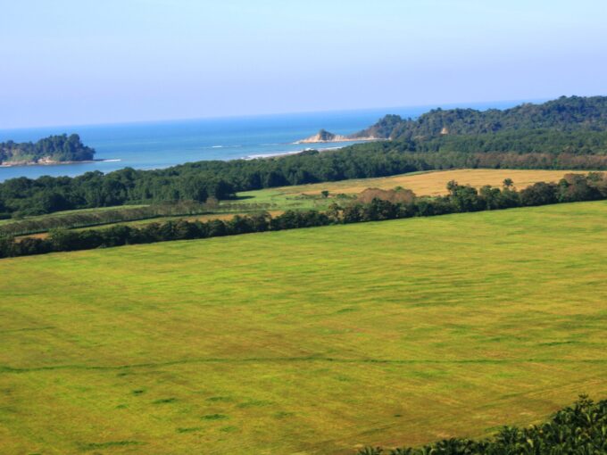 Ocean view from the Lomas del Rey hillside over palm plains to the Pacific, Quepos, Costa Rica