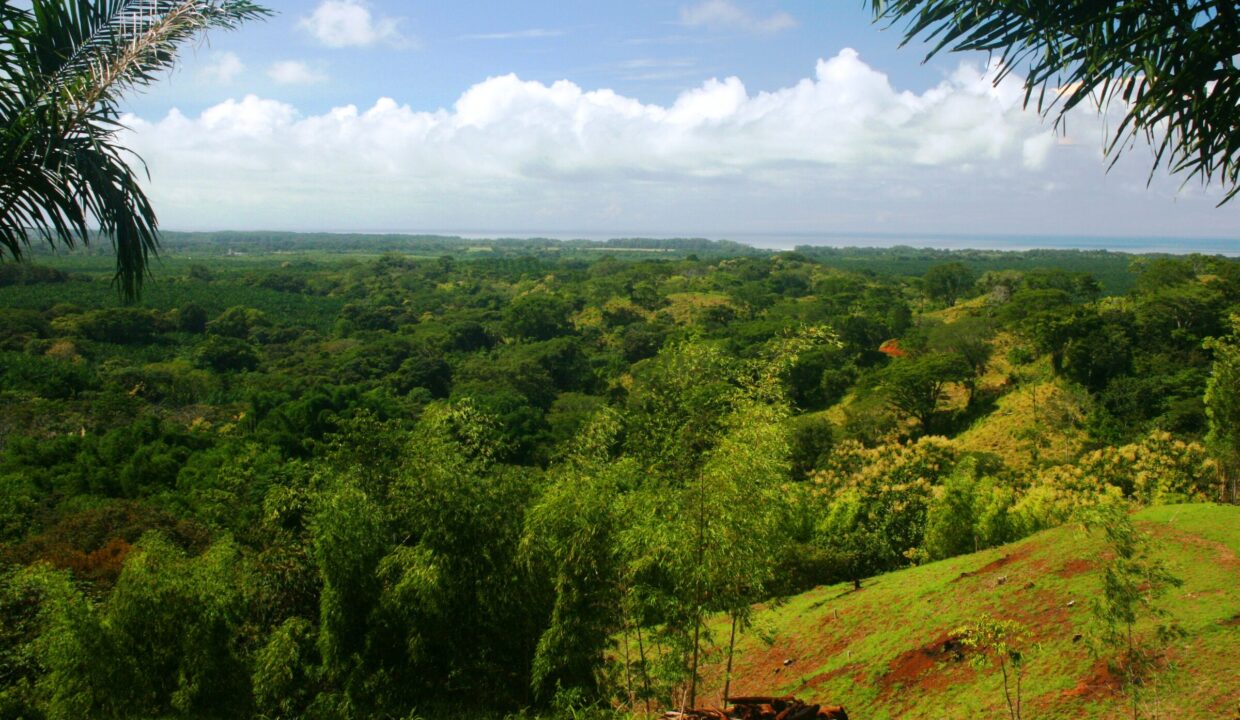 Rolling green project land with mountain and ocean backdrop at Lomas del Rey, Quepos