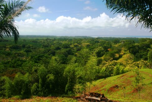 Rolling green project land with mountain and ocean backdrop at Lomas del Rey, Quepos