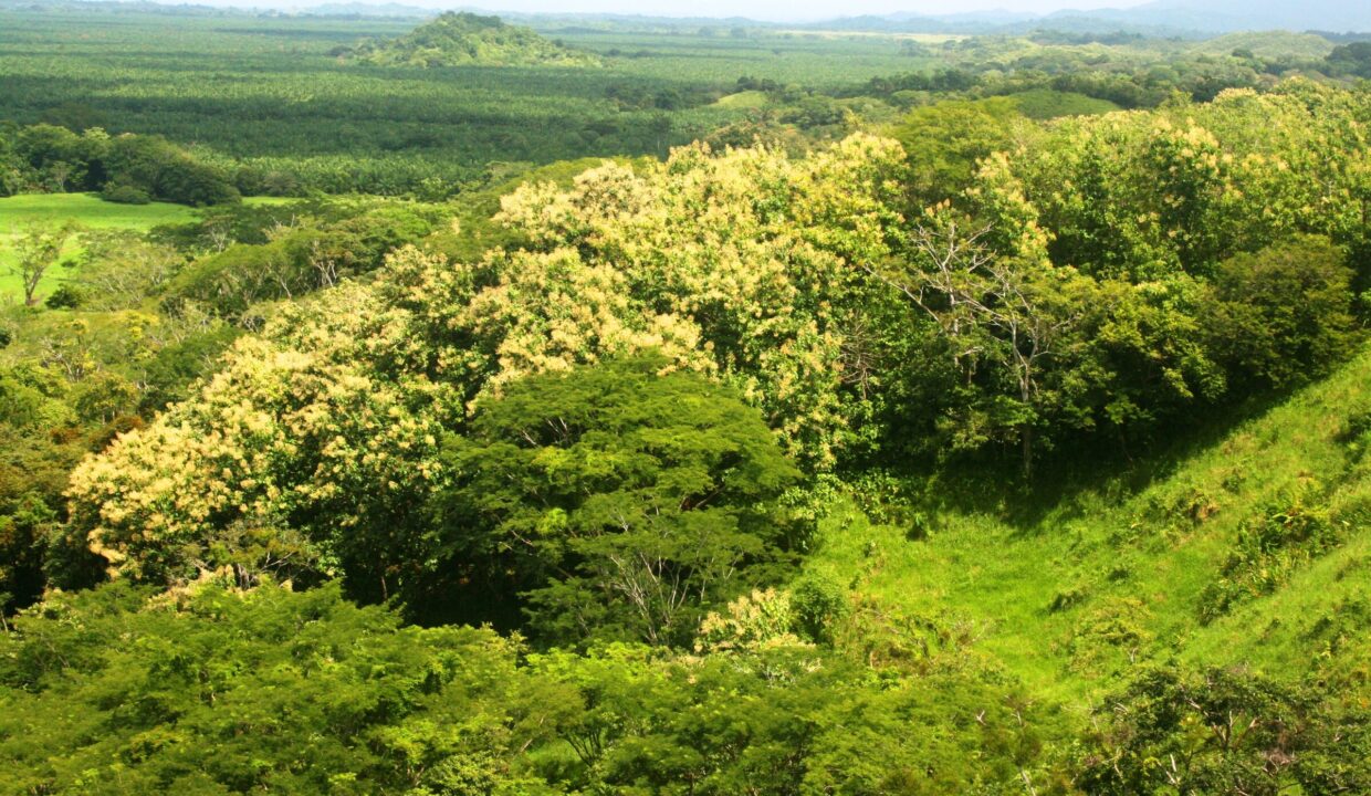 Forested hillsides and valley within the Lomas del Rey property, Quepos, Costa Rica