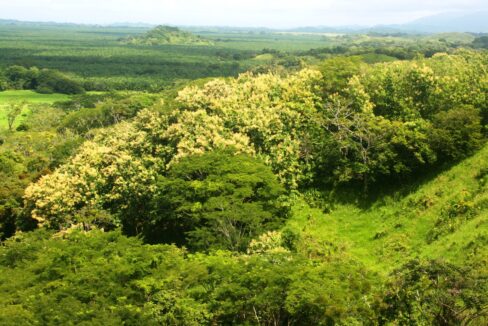 Forested hillsides and valley within the Lomas del Rey property, Quepos, Costa Rica