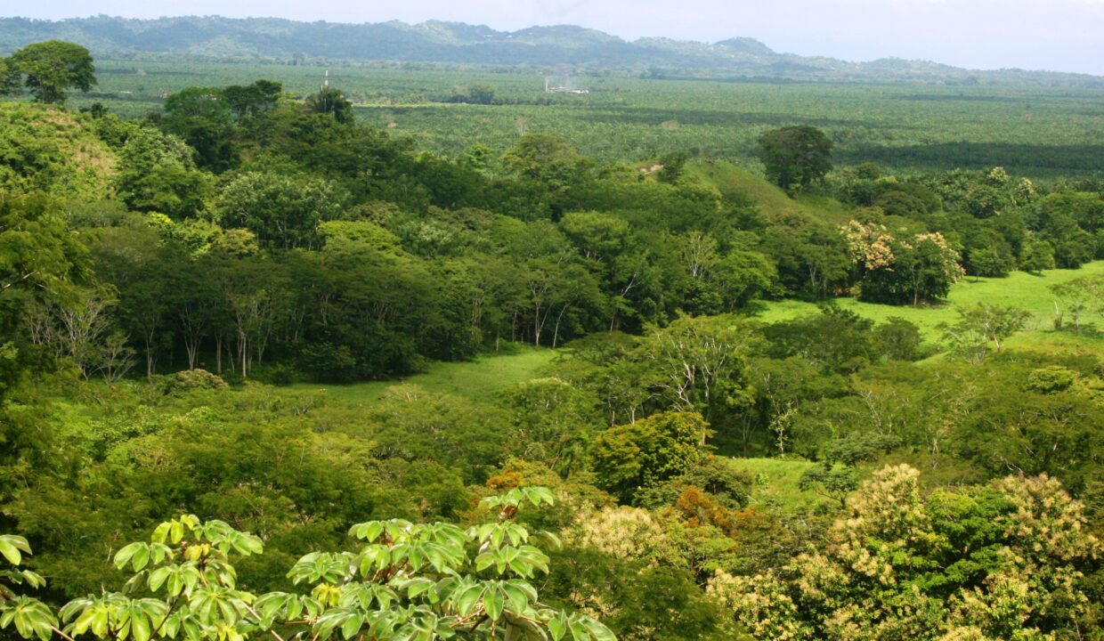 Panorama of forest, valley and distant coast from Lomas del Rey, Quepos, Costa Rica