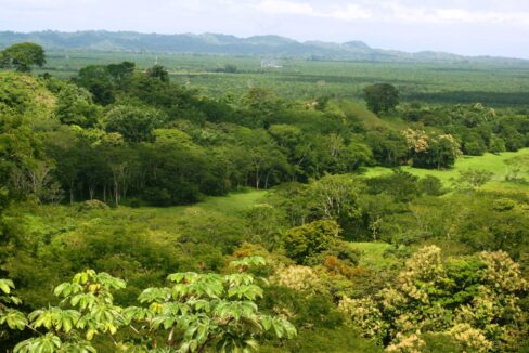 Panorama of forest, valley and distant coast from Lomas del Rey, Quepos, Costa Rica